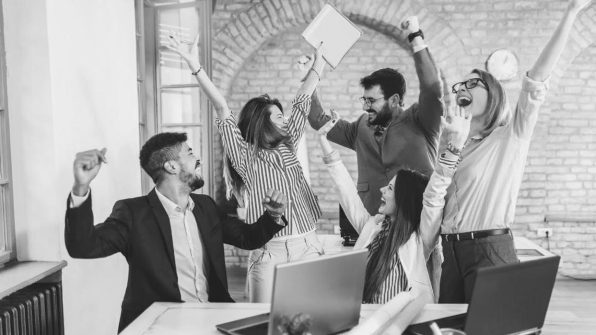 Professionelle Zusammenarbeit bei der Kursentwicklung